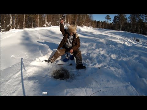 Видео: РЫБАЛКА . Глухозимье прощай !