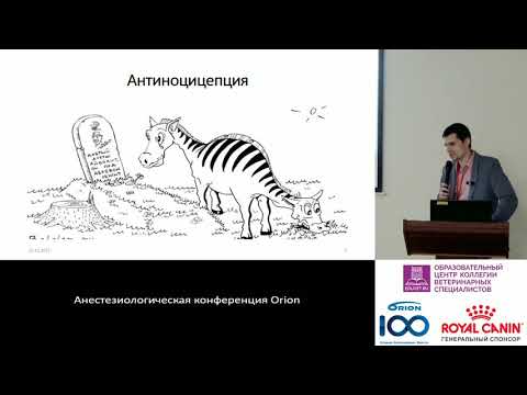 Видео: Дородных Ю.С. - Стресс и боль