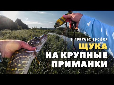 Видео: Щука на крупные приманки | "ОХОТА ЗА ТРОФЕЕМ" серия №2