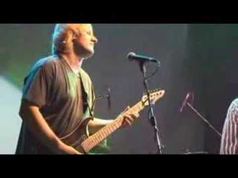 Видео: ландыши - "про японцев"