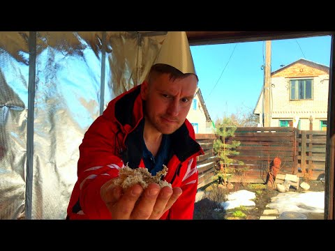 Видео: утепление бани ОПИЛКАМИ И МИНВАТОЙ )) бюджетно быстро и тепло )