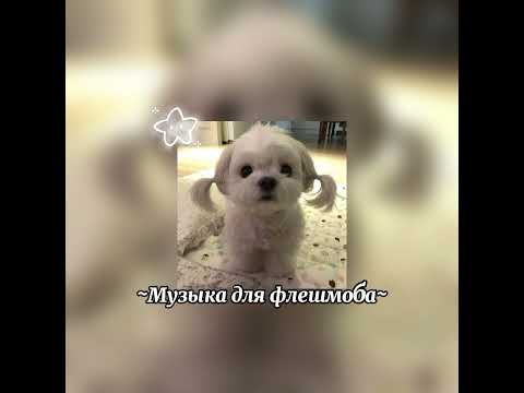 Видео: ~Музыка для флешмоба~