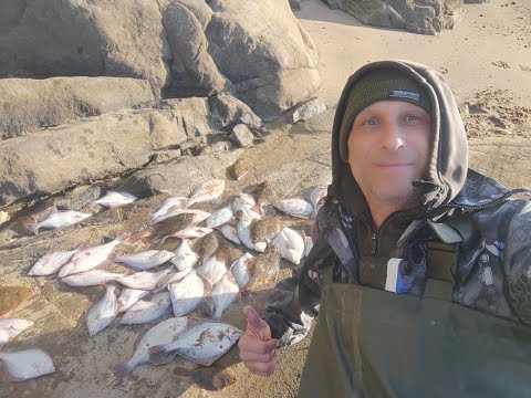 Видео: Идущий по Воде! Сетка переполнена рыбой! Сиг Кабан поплыл,поплыл!