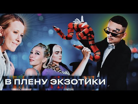 Видео: КАКИЕ ЗВЕЗДЫ И ТИКТОКЕРЫ ПОКУПАЮТ РЕПТИЛИЙ У НАС? Невероятно, но это факт
