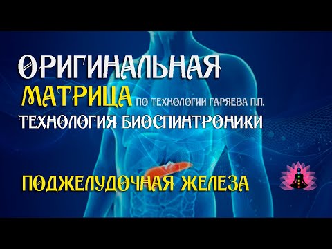 Видео: Поджелудочная железа ⚠️ Оригинальная матрица по технологии Гаряева П П ☀️ SoftRadio ru