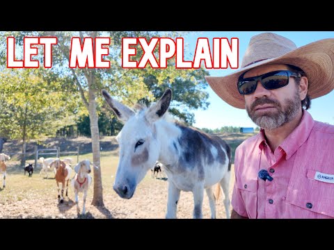 Видео: С ней все в порядке, или мы что-то скрываем?