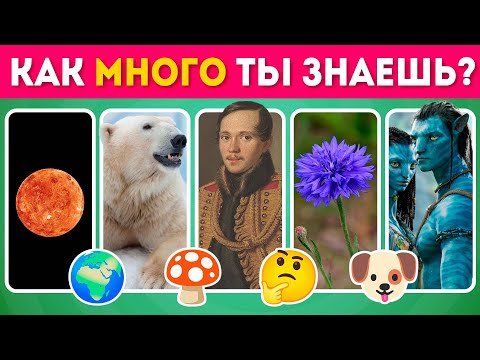 Видео: Как много ты знаешь? 🤔/ Ответь на 50 вопросов на эрудицию и общие знания / EMOJI COOL 😎