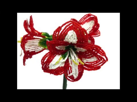 Видео: МК: ГИППЕРАСТРУМ / АМАРИЛЛИС из бисера. Часть 5/5. Tutorial: AMARYLLIS out of beads