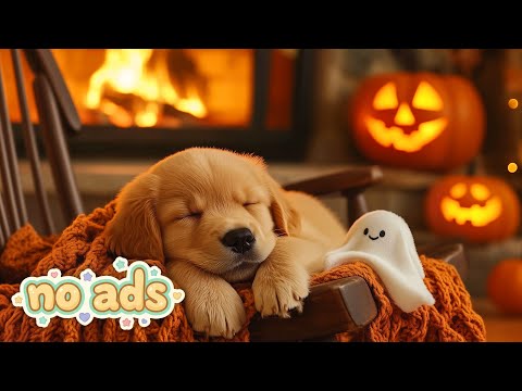 Видео: 12 Часов Расслабляющая Музыка Для Собак 💖 Музыка От Разлуки Тревоги🐶
