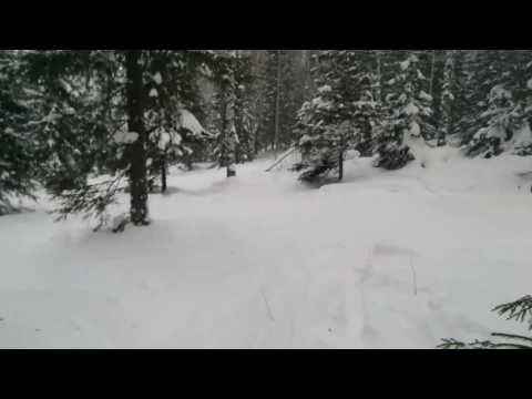 Видео: ГУБАХА - фрирайд, это невероятно классно и красиво так катать