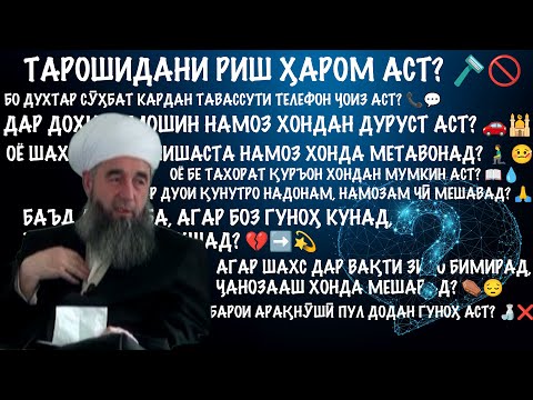 Видео: 9  савол ва ҷавобҳо