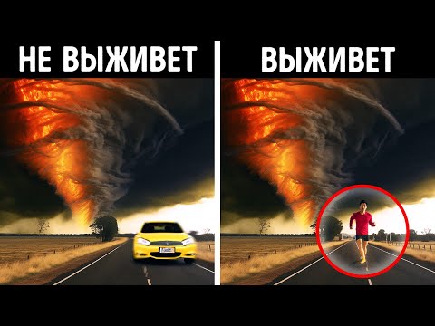 Видео: 100 потрясающих фактов, о существовании которых вы никогда не знали!