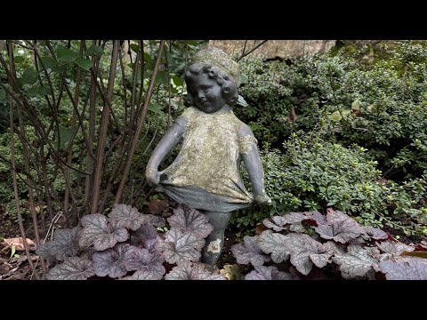 Видео: 7 сентября 2025 г.