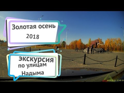 Видео: экскурсия по Надыму. Золотая осень 2018