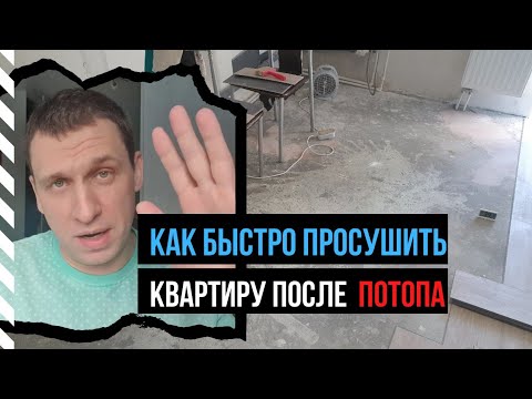 Видео: Как быстро просушить, высушить квартиру, дом, пол, стены после затопления (потопа) или от сырости?