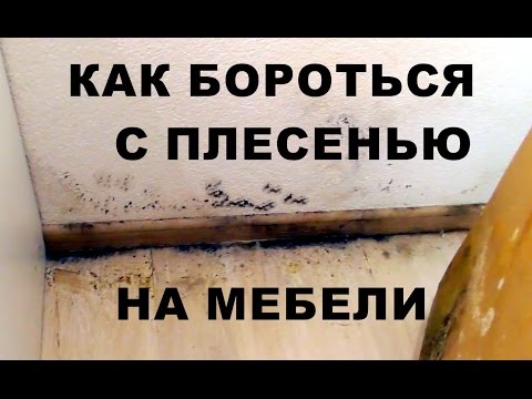 Видео: Как избавиться от плесени на стенах навсегда