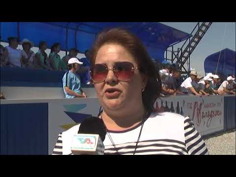 Видео: Более 200 человек соревновалось в спартакиаде Денисовского района