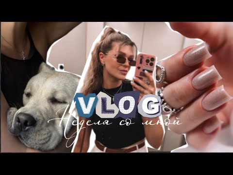 Видео: Vlog|Неделя со мной|Покупки WILDBERRIES|Новый маникюр|Уезжаю в Казань|Посылка с парфюмом|Тайлер 🐾