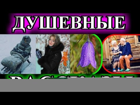 Видео: ДУШЕВНЫЕ РАССКАЗЫ❤️МНОГОТОЧИЕ ДЛЯ ЗОЛУШКИ❤️УДОЧЕРЯЮ❤️МЫ ЭХО ДРУГ ДРУГА❤️РАССЕЯННЫЙ ХОР@TEFI РАССКАЗЫ