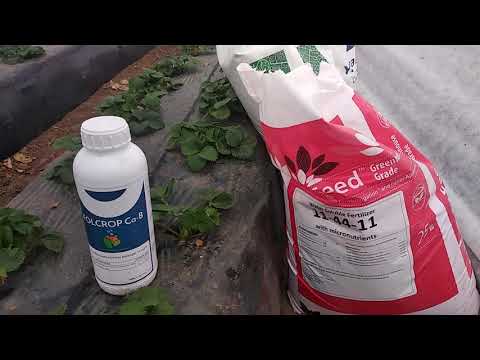 Видео: Минеральное питание