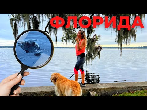 Видео: Жизнь в США #92