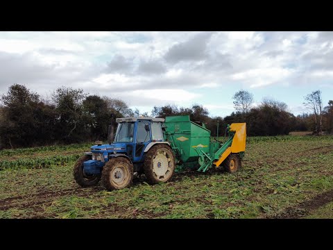 Видео: НАКОНЕЦ-ТО ВЫВЕЗЕМ В ПОЛЕ «КАК НОВЫЙ» ОДНОРЯДНЫЙ СВЕКЛОУБОРОЧНЫЙ КОМБАЙН ARMER SALMON CHEETAH!!