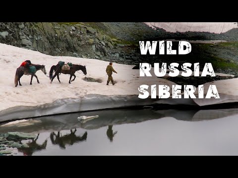 Видео: Горный Алтай. Заповедник у истоков Катуни. Гора Белуха. Природа Сибири.