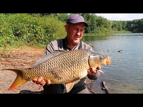 Видео: На Озере клюет сазан и щука!  Рыбалка на дикаре!