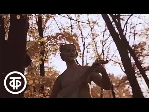 Видео: Ленинград. Летний сад (1982)