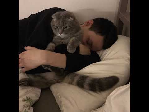 Видео: Kunteynir Демоны instrumental