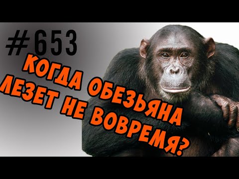 Видео: Когда проявляются Психологические защиты и Когнитивные искажения