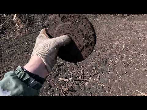 Видео: КОП МЕТАЛЛА 11.03.2025