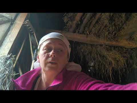 Видео: Для чого крити козу що року коли не має де подіти козинята 