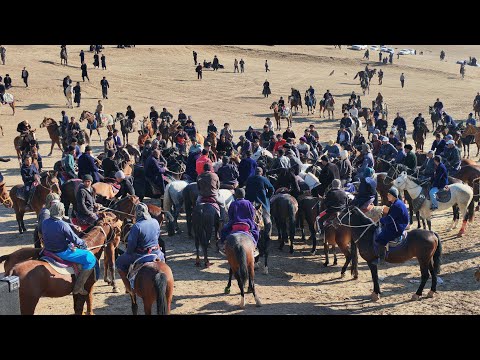Видео: Қашқадарё в Чироқчи т Бешчашма ж/х Мирзатўпда Купкари Бошланди 06,11,25 й