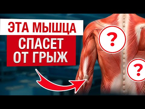Видео: 90% ПРОБЛЕМ с поясницей из-за ЭТОЙ МЫШЦЫ! / Как УСТРАНИТЬ боль в пояснице?