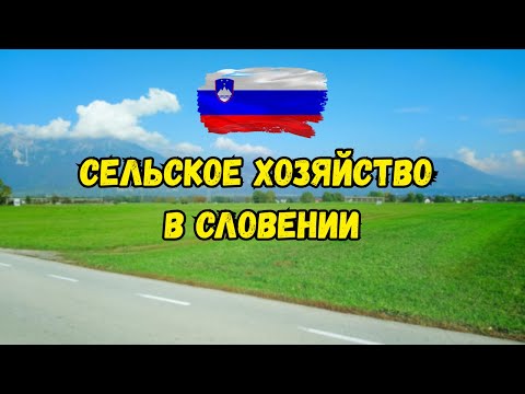 Видео: Насколько выгодно в Словении заниматься сельским хозяйством