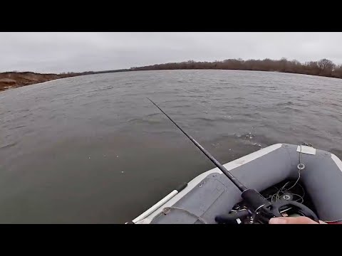 Видео: ОХОТА на ОКСКОГО СУДАКА! РЫБАЛКА со спиннингом с лодки ПВХ [Джиг, воблер, река]