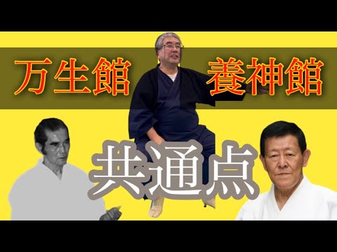 Видео: В чем сходство основных техник Ёсинкан Айкидо и Мансейкан Айкидо?