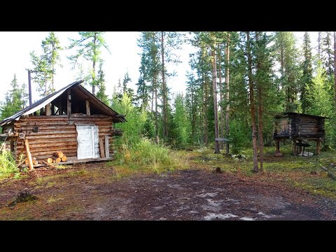 Видео: Одиночный поход по северной реке ч2. Таёжный быт. Рыбалка на спиннинг. Лесная изба. Один в тайге