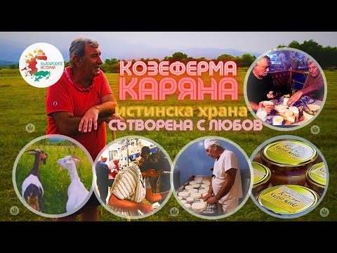 Видео: ФЕРМА КОЗ, СЕЛО ЯГОДОВО, БОЛГАРИЯ