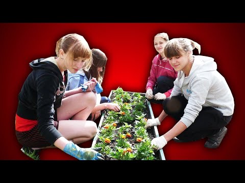 Видео: ЛЕТНЯЯ ПРАКТИКА - НЕЗАКОННА