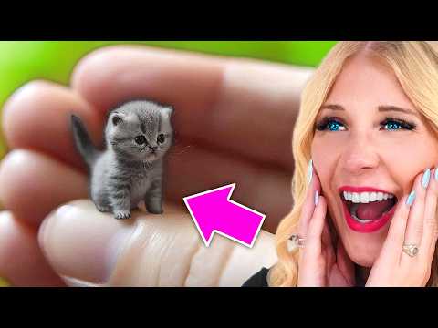 Видео: Попробуй не сказать «Ой!» *НЕВОЗМОЖНО*