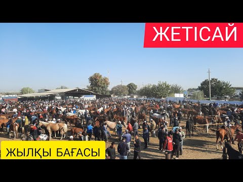 Видео: Жетісай мал базары 22.09.2022ж Жылқылардың бағасы мен таныс болыңыздар.