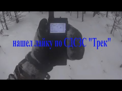 Видео: Промысел соболя 10 серия Соболь добыт,  Дея отработала на пять. GPS сложения за собаками ТРЕК.
