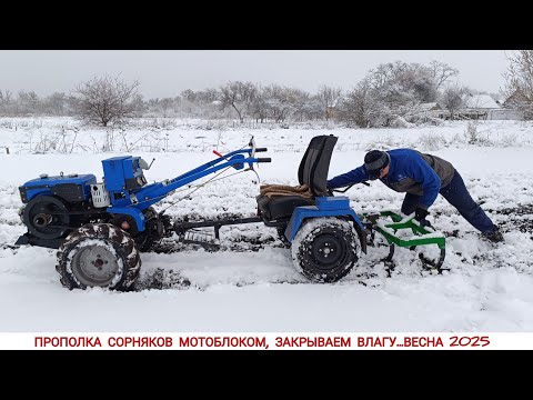 Видео: ЗАКРЫВАЕМ ВЛАГУ, ПРОПОЛКА СОРНЯКОВ МОТОБЛОКОМ,ВЕСНА 2025 /CLOSE THE MOISTURE WITH A MOTOR CULTIVATER