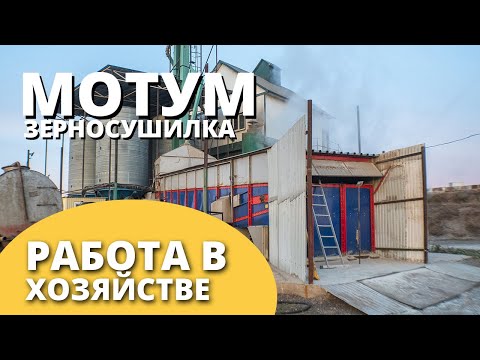 Видео: Зерносушилка конвейерная Мотум-30 I В работе снимаем влажность с семечки более 25% I Воронежагромаш