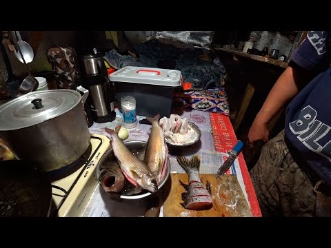 Видео: ОСЕННЯЯ РЫБАЛКА НА ХАРИУСА/ГОТОВИМ БЛЮДО ИЗ ХАРИУСА/ЩУКИ/ОКУНЯ