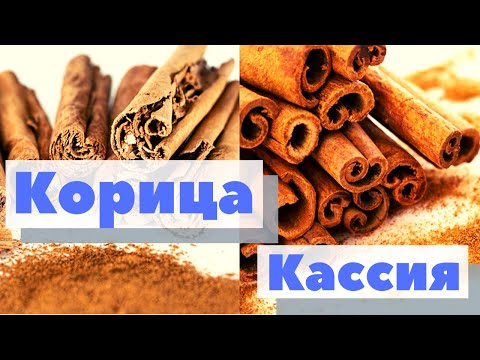 Видео: Корица/Кассия | Как это сделано | Cinnamon