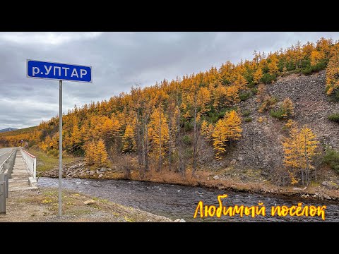 Видео: Магадан. Уптар - поселок в лесу.