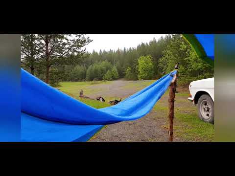 Видео: Природа Северного Урала. Лебеди. Рыбалка на плотинке.Покровск-Уральский.Играю на варгане.